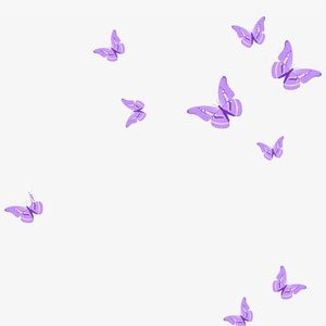 Meet your Posher, Elsy